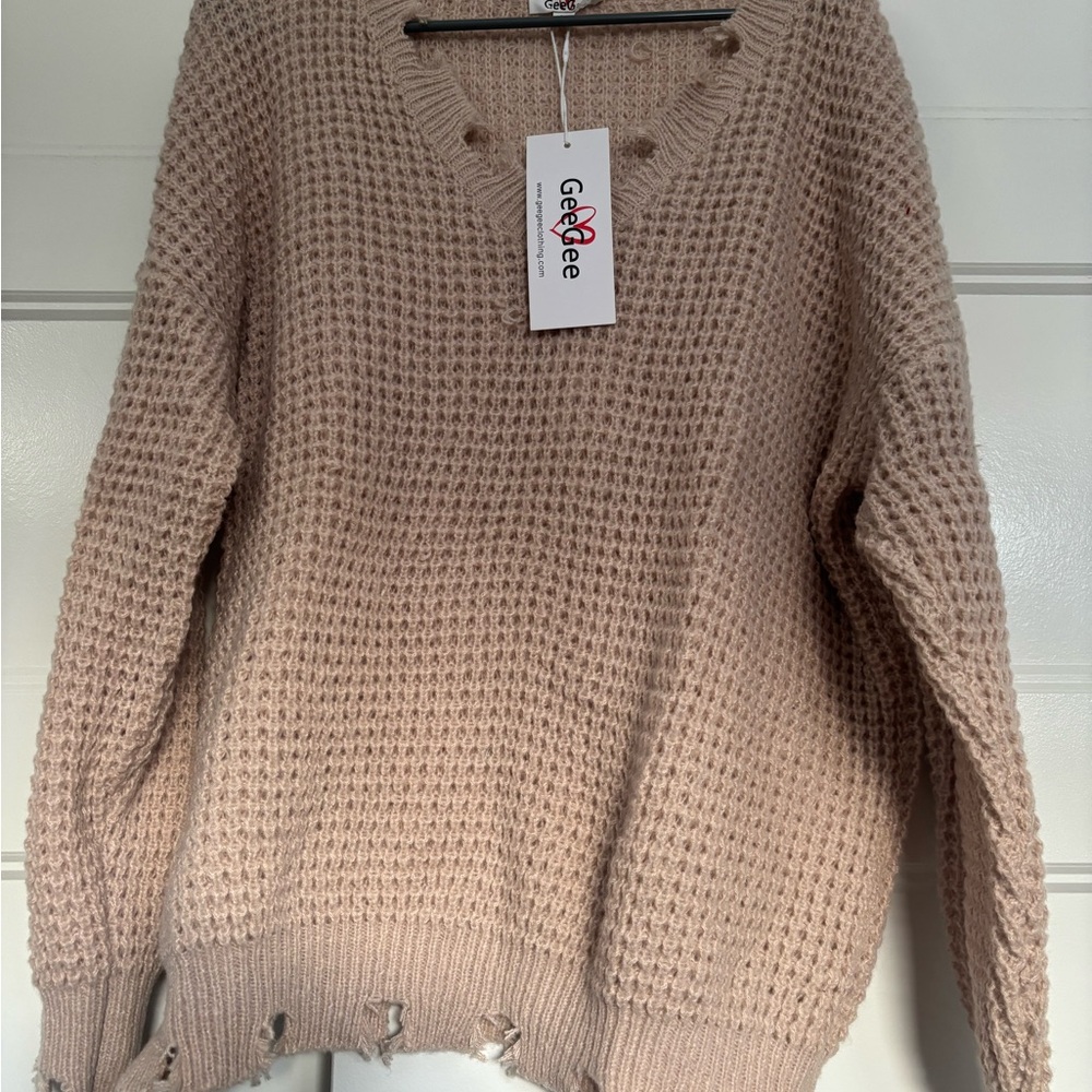 GeeGee Women's Beige V-Neck Sweater